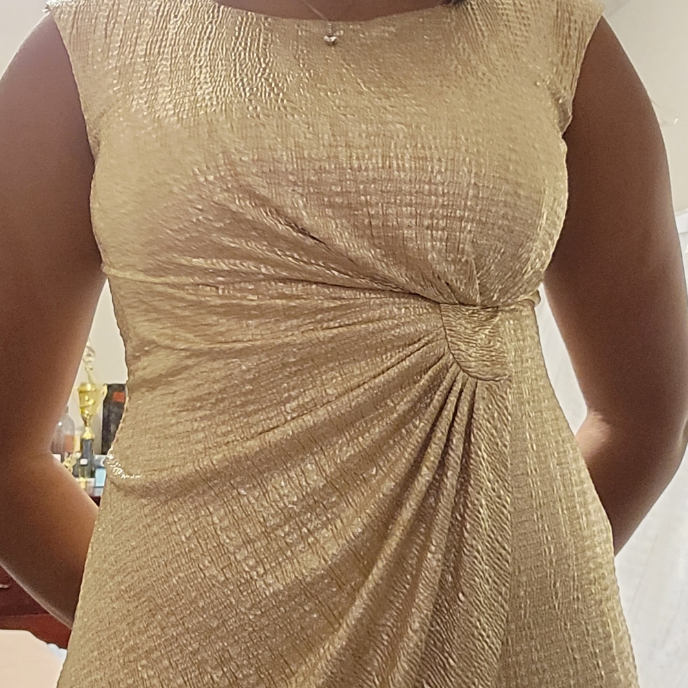 Dress!! - Picture 3 of 5